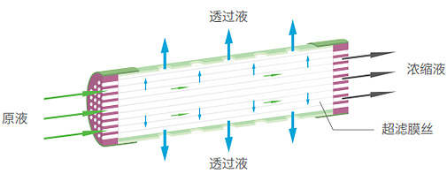 首页|yl6809永利集团有限公司官方网站